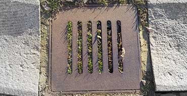 Emergency Sewer Line Inspection and Repair in Kensington